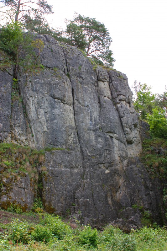 Felsfoto: Nixenwand und 33 weitere Felsen im Klettergebiet Labertal & Naabtal ➤ Routen mit Schwierigkeitsgraden für den Fels Nixenwand ➤ Klettertopo & Kletterführer ➤ 17.06.2025