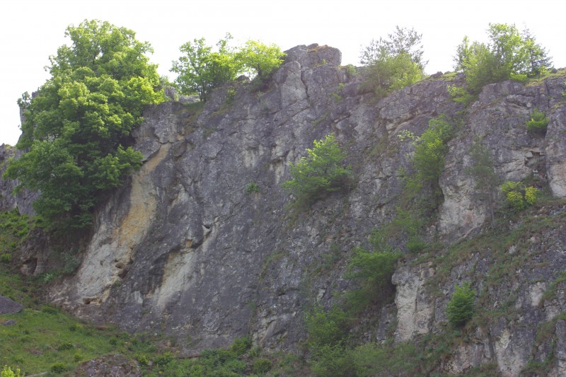 Felsfoto: Schönhofen - Schwarze Wand und 33 weitere Felsen im Klettergebiet Labertal & Naabtal ➤ Routen mit Schwierigkeitsgraden für den Fels Schönhofen - Schwarze Wand ➤ Klettertopo & Kletterführer ➤ 17.06.2025