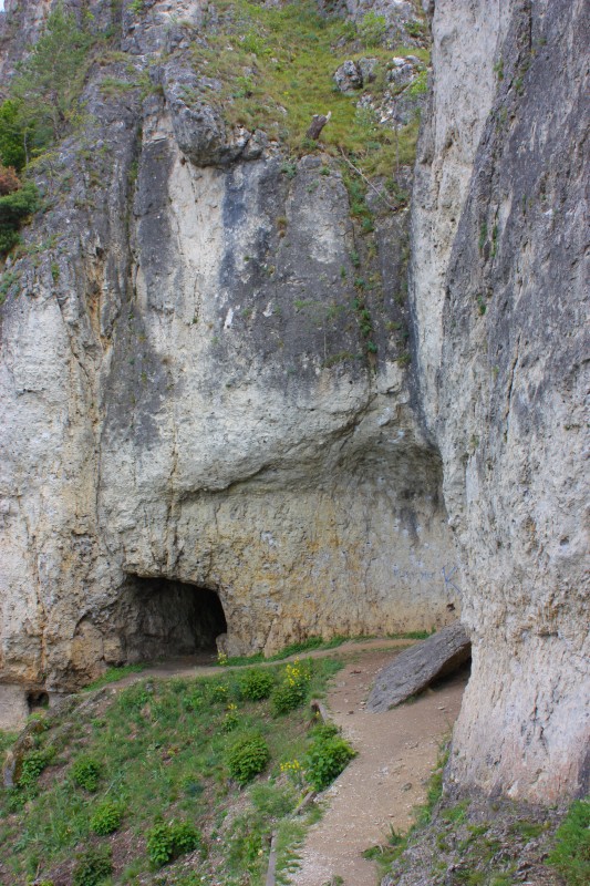 Felsfoto: Schönhofen - Eisenbahnerwand und 33 weitere Felsen im Klettergebiet Labertal & Naabtal ➤ Routen mit Schwierigkeitsgraden für den Fels Schönhofen - Eisenbahnerwand ➤ Klettertopo & Kletterführer ➤ 17.06.2025