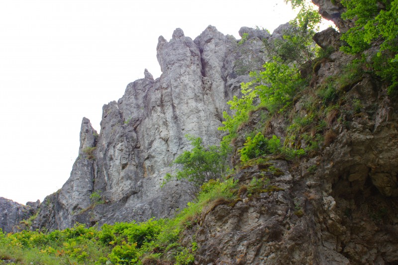 Felsfoto: Schönhofen - Kletterblock und 33 weitere Felsen im Klettergebiet Labertal & Naabtal ➤ Routen mit Schwierigkeitsgraden für den Fels Schönhofen - Kletterblock ➤ Klettertopo & Kletterführer ➤ 17.06.2025