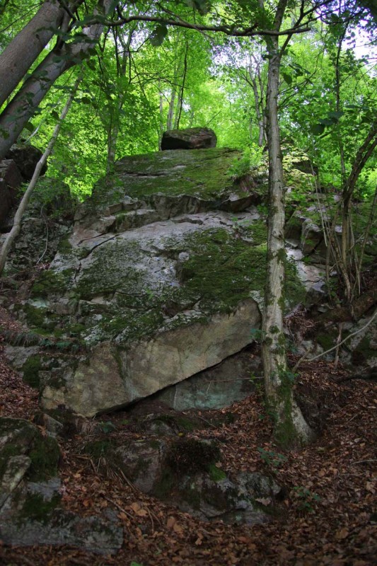 Felsfoto: Finde in der Routendatenbank von Extremklettern.de viele Infos über den Fels Platte / Kante vom Klettergebiet Inntal ➤ Klettertopo & Kletterführer ➤ 17.06.2025