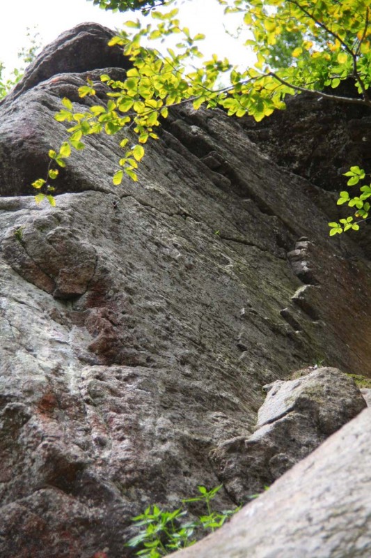 Felsfoto: Finde in der Routendatenbank von Extremklettern.de viele Infos über den Fels Platte vom Klettergebiet Inntal ➤ Klettertopo & Kletterführer ➤ 17.06.2025