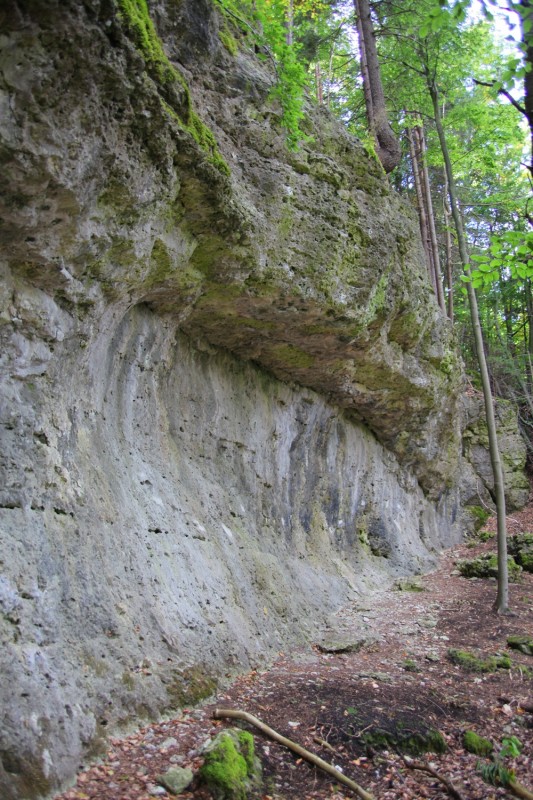 Felsfoto: Hummellöcher und 690 weitere Felsen im Klettergebiet Fränkische Schweiz (Frankenjura) ➤ Routen mit Schwierigkeitsgraden f&uuml;r den Fels Hummellöcher ➤ Klettertopo & Kletterf&uuml;hrer ➤ 27.05.2026