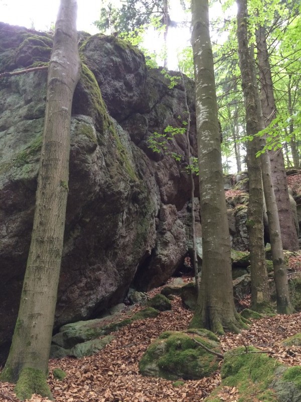 Felsfoto: Wampe und 39 weitere Felsen im Klettergebiet Bayerischer Wald ➤ Routen mit Schwierigkeitsgraden f&uuml;r den Fels Wampe ➤ Klettertopo & Kletterf&uuml;hrer ➤ 18.05.2026