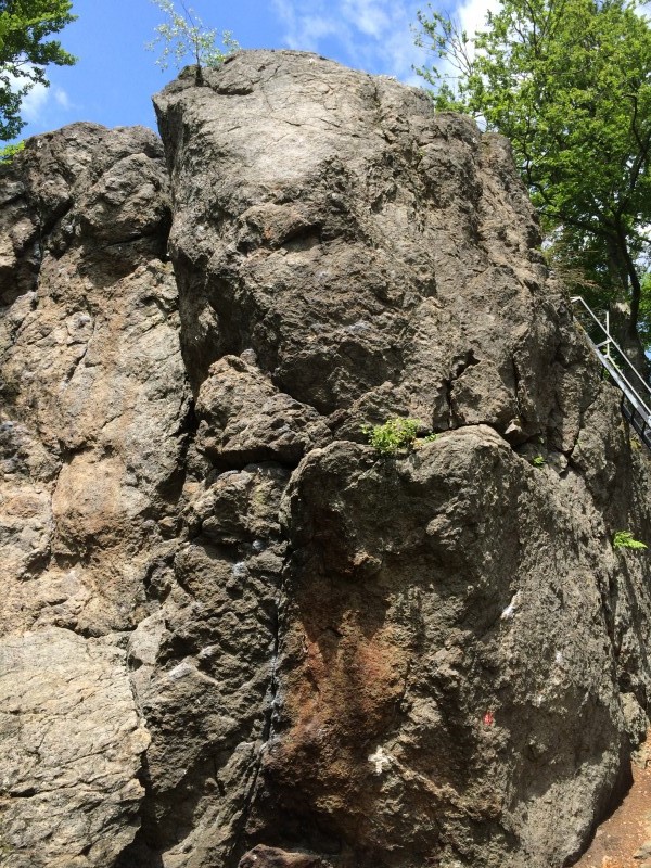 Felsfoto: Riederinfels und 39 weitere Felsen im Klettergebiet Bayerischer Wald ➤ Routen mit Schwierigkeitsgraden f&uuml;r den Fels Riederinfels ➤ Klettertopo & Kletterf&uuml;hrer ➤ 18.05.2026