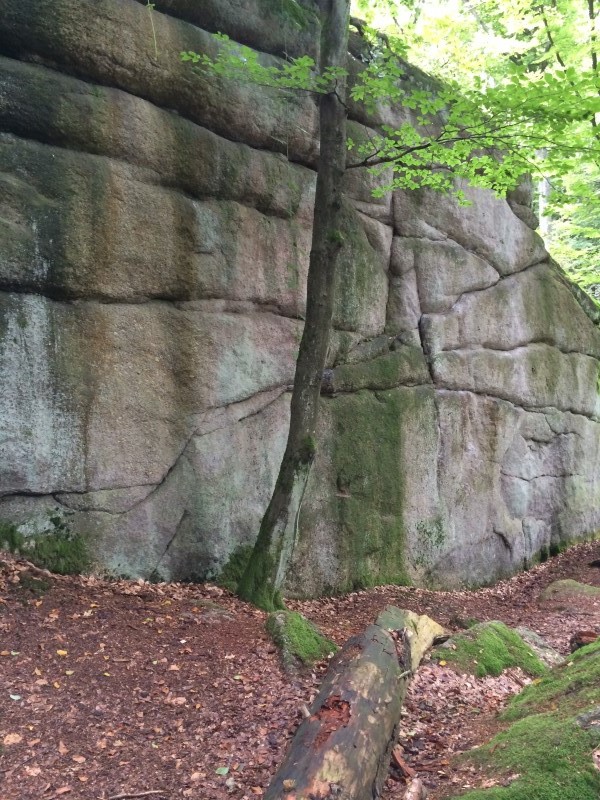 Felsfoto: Hoher Fels und 39 weitere Felsen im Klettergebiet Bayerischer Wald ➤ Routen mit Schwierigkeitsgraden f&uuml;r den Fels Hoher Fels ➤ Klettertopo & Kletterf&uuml;hrer ➤ 18.05.2026
