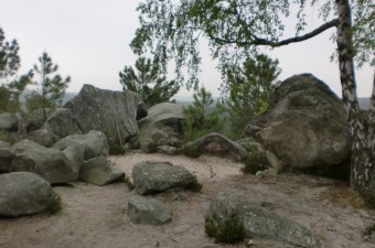 Felsblöcke in Fontainebleau