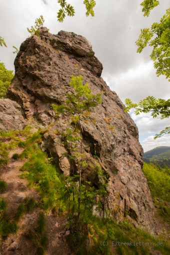 Falkenstein im Thüringer Wald