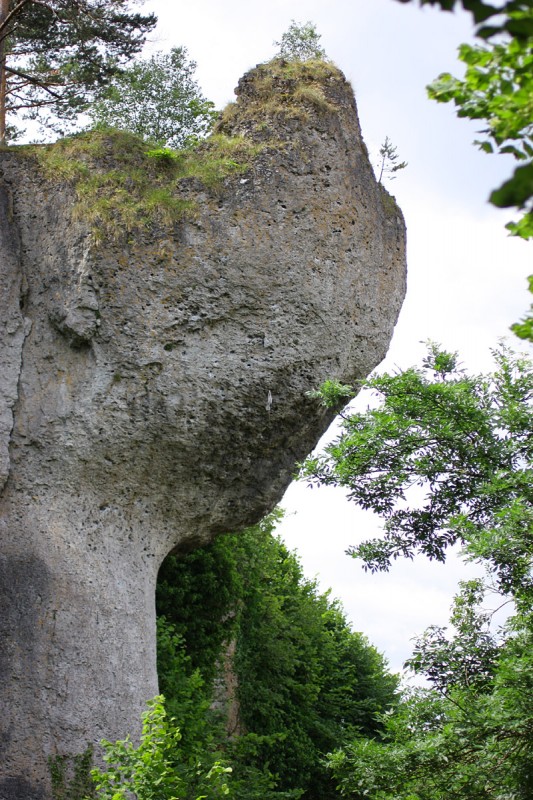 Felsfoto: Gernerfels und 690 weitere Felsen im Klettergebiet Fränkische Schweiz (Frankenjura) ➤ Routen mit Schwierigkeitsgraden f&uuml;r den Fels Gernerfels ➤ Klettertopo & Kletterf&uuml;hrer ➤ 19.05.2026
