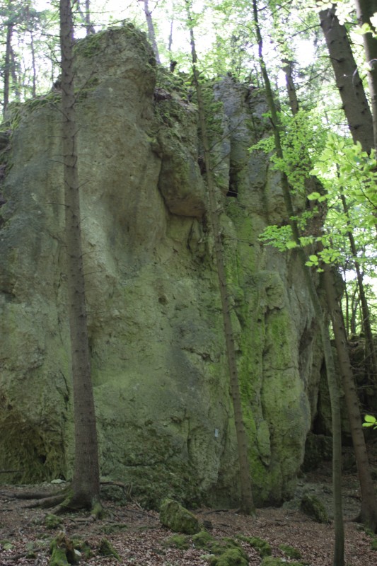 Felsfoto: Allersdorfer Wand und 690 weitere Felsen im Klettergebiet Fränkische Schweiz (Frankenjura) ➤ Routen mit Schwierigkeitsgraden f&uuml;r den Fels Allersdorfer Wand ➤ Klettertopo & Kletterf&uuml;hrer ➤ 19.05.2026
