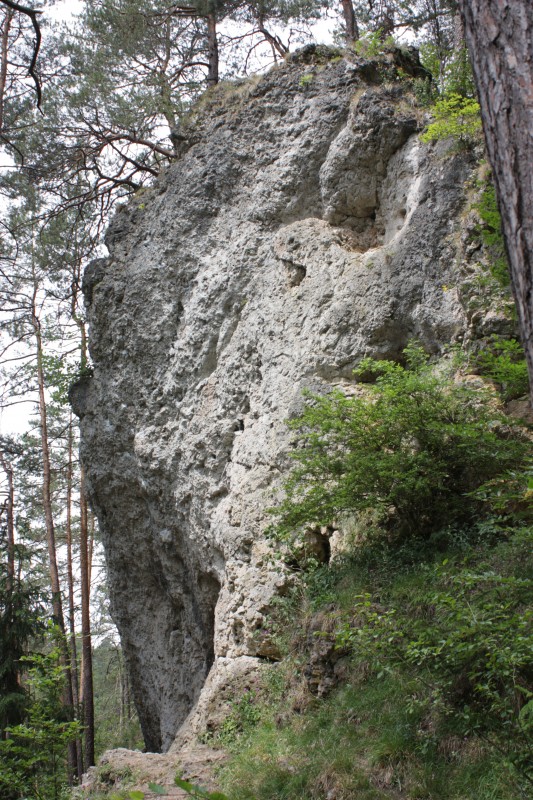Felsfoto: Neue Heimat und 690 weitere Felsen im Klettergebiet Fränkische Schweiz (Frankenjura) ➤ Routen mit Schwierigkeitsgraden f&uuml;r den Fels Neue Heimat ➤ Klettertopo & Kletterf&uuml;hrer ➤ 19.05.2026
