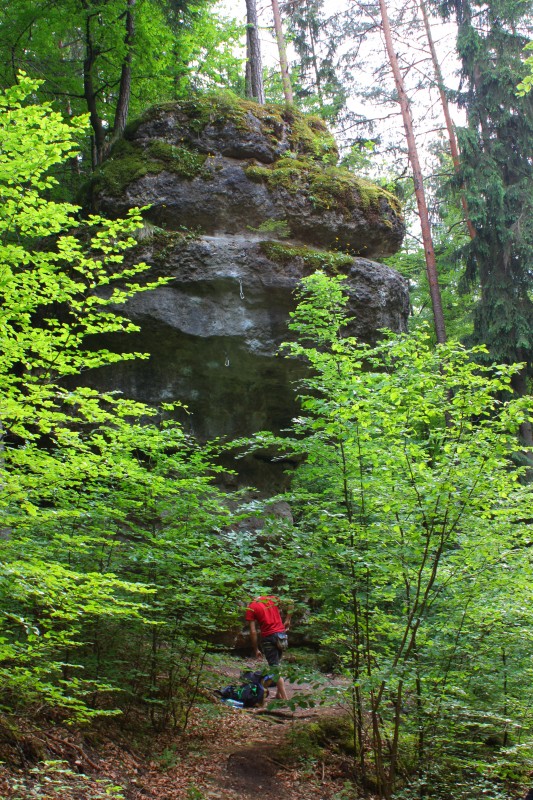 Felsfoto: Schöfflblock und 690 weitere Felsen im Klettergebiet Fränkische Schweiz (Frankenjura) ➤ Routen mit Schwierigkeitsgraden f&uuml;r den Fels Schöfflblock ➤ Klettertopo & Kletterf&uuml;hrer ➤ 19.05.2026
