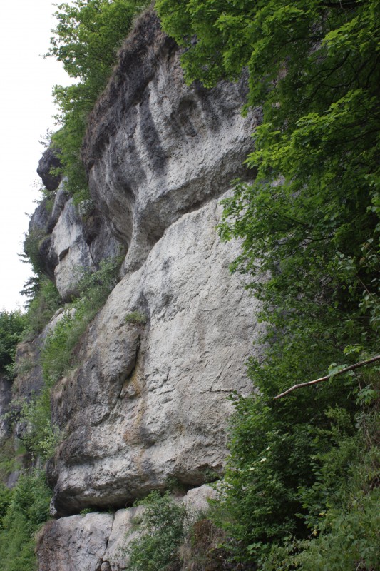 Felsfoto: Schüttersmühler Wand und 690 weitere Felsen im Klettergebiet Fränkische Schweiz (Frankenjura) ➤ Routen mit Schwierigkeitsgraden f&uuml;r den Fels Schüttersmühler Wand ➤ Klettertopo & Kletterf&uuml;hrer ➤ 19.05.2026