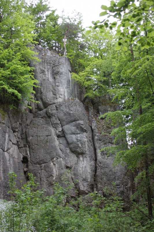 Felsfoto: Dreistaffelfels und 690 weitere Felsen im Klettergebiet Fränkische Schweiz (Frankenjura) ➤ Routen mit Schwierigkeitsgraden f&uuml;r den Fels Dreistaffelfels ➤ Klettertopo & Kletterf&uuml;hrer ➤ 19.05.2026