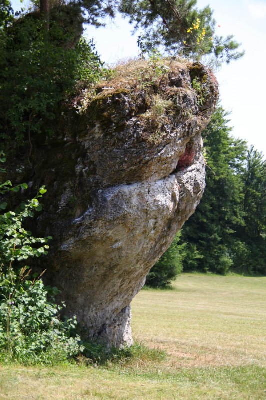 Felsfoto: Freudenmauer und 690 weitere Felsen im Klettergebiet Fränkische Schweiz (Frankenjura) ➤ Routen mit Schwierigkeitsgraden f&uuml;r den Fels Freudenmauer ➤ Klettertopo & Kletterf&uuml;hrer ➤ 19.05.2026
