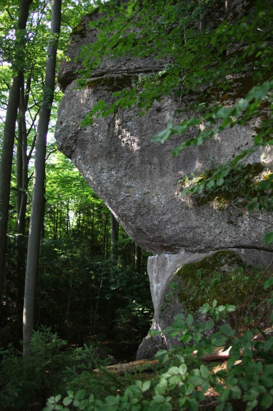Felsfoto: Waldkopf (Steinerne Stadt) und 690 weitere Felsen im Klettergebiet Fränkische Schweiz (Frankenjura) ➤ Routen mit Schwierigkeitsgraden f&uuml;r den Fels Waldkopf (Steinerne Stadt) ➤ Klettertopo & Kletterf&uuml;hrer ➤ 19.05.2026