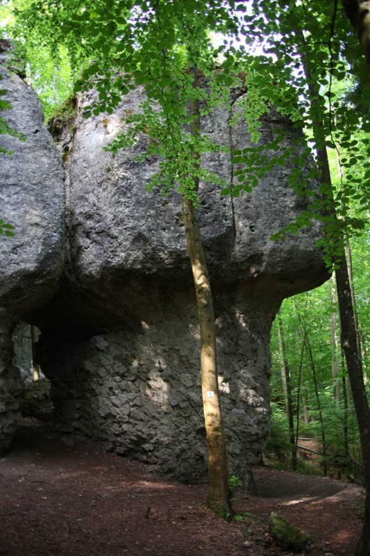 Felsfoto: Beide Brüder (Steinerne Stadt)  und 690 weitere Felsen im Klettergebiet Fränkische Schweiz (Frankenjura) ➤ Routen mit Schwierigkeitsgraden f&uuml;r den Fels Beide Brüder (Steinerne Stadt)  ➤ Klettertopo & Kletterf&uuml;hrer ➤ 19.05.2026