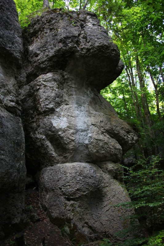 Felsfoto: Waldgeist (Steinerne Stadt) und 690 weitere Felsen im Klettergebiet Fränkische Schweiz (Frankenjura) ➤ Routen mit Schwierigkeitsgraden f&uuml;r den Fels Waldgeist (Steinerne Stadt) ➤ Klettertopo & Kletterf&uuml;hrer ➤ 19.05.2026