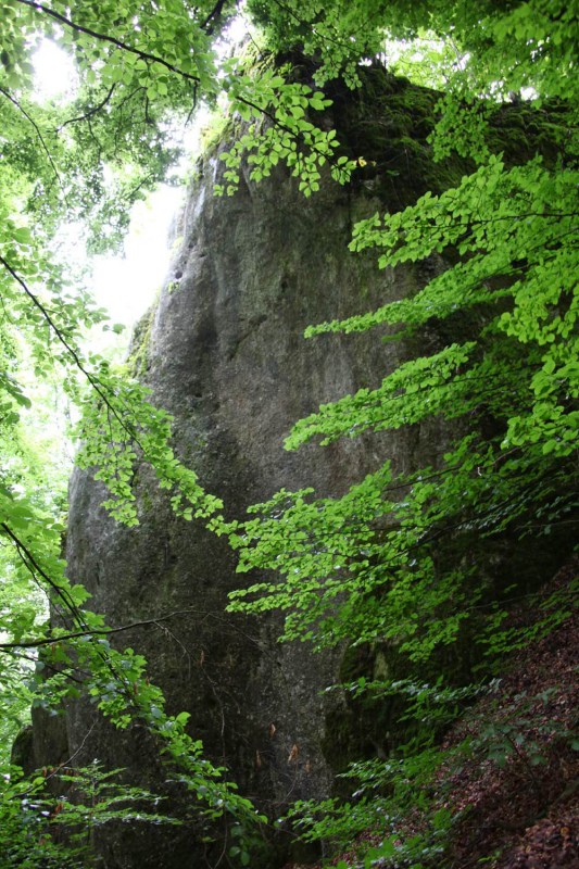 Felsfoto: Braut & Bräutigam und 45 weitere Felsen im Klettergebiet Konstein (Südliches Frankenjura) ➤ Routen mit Schwierigkeitsgraden f&uuml;r den Fels Braut & Bräutigam ➤ Klettertopo & Kletterf&uuml;hrer ➤ 19.05.2026