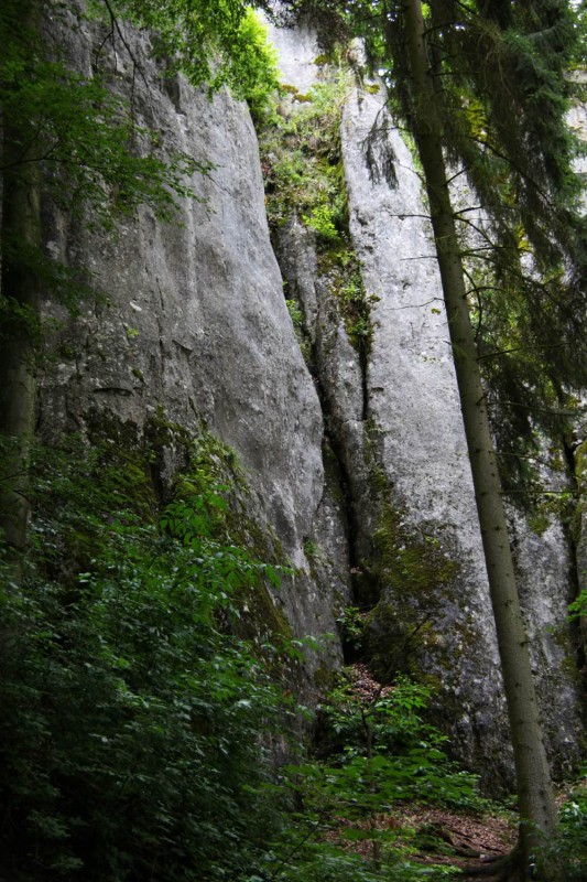 Felsfoto: Försterfels und 45 weitere Felsen im Klettergebiet Konstein (Südliches Frankenjura) ➤ Routen mit Schwierigkeitsgraden f&uuml;r den Fels Försterfels ➤ Klettertopo & Kletterf&uuml;hrer ➤ 19.05.2026