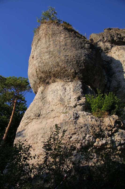 Felsfoto: Mittelbergwand und 690 weitere Felsen im Klettergebiet Fränkische Schweiz (Frankenjura) ➤ Routen mit Schwierigkeitsgraden f&uuml;r den Fels Mittelbergwand ➤ Klettertopo & Kletterf&uuml;hrer ➤ 19.05.2026