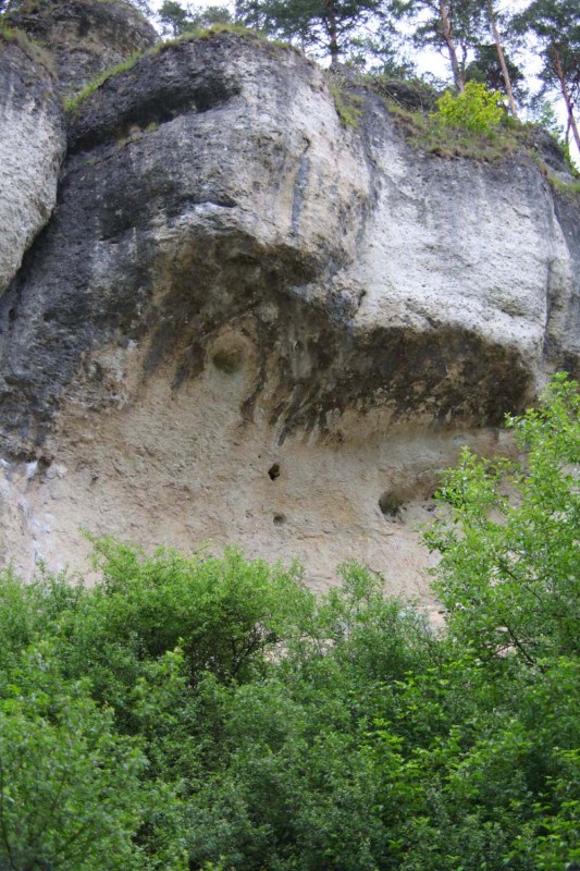Felsfoto: Bärenschlucht und 690 weitere Felsen im Klettergebiet Fränkische Schweiz (Frankenjura) ➤ Routen mit Schwierigkeitsgraden f&uuml;r den Fels Bärenschlucht ➤ Klettertopo & Kletterf&uuml;hrer ➤ 19.05.2026