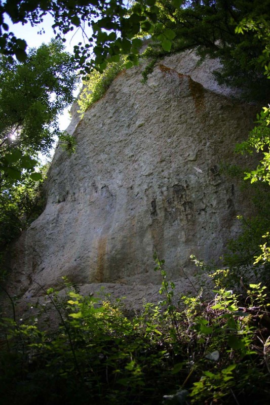 Felsfoto: Aalkorber Wände (Freudenhaus) und 692 weitere Felsen im Klettergebiet Fränkische Schweiz (Frankenjura) ➤ Routen mit Schwierigkeitsgraden f&uuml;r den Fels Aalkorber Wände (Freudenhaus) ➤ Klettertopo & Kletterf&uuml;hrer ➤ 31.08.2026