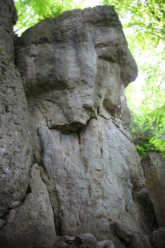Felsfoto: Maximilianswand und 690 weitere Felsen im Klettergebiet Fränkische Schweiz (Frankenjura) ➤ Routen mit Schwierigkeitsgraden f&uuml;r den Fels Maximilianswand ➤ Klettertopo & Kletterf&uuml;hrer ➤ 19.05.2026