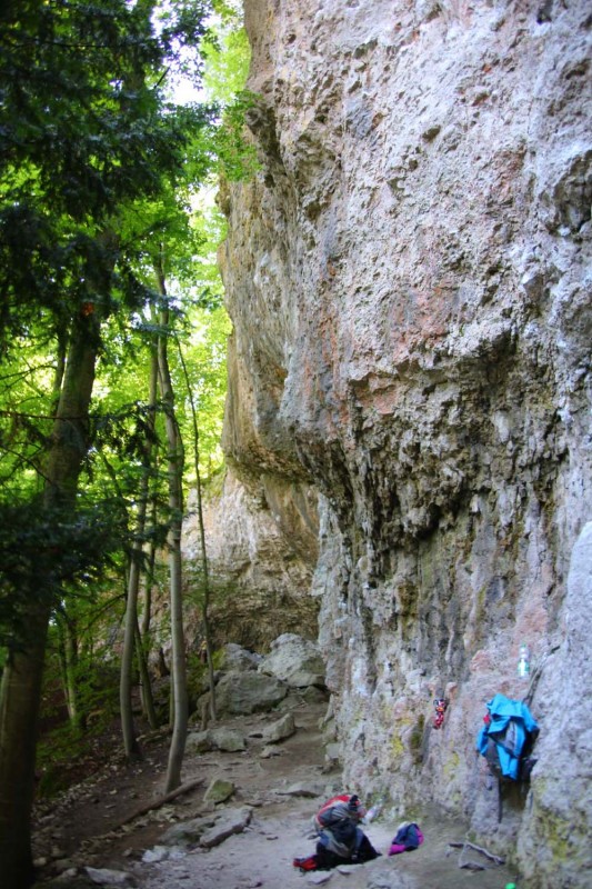 Felsfoto: Schlossbergwand und 690 weitere Felsen im Klettergebiet Fränkische Schweiz (Frankenjura) ➤ Routen mit Schwierigkeitsgraden f&uuml;r den Fels Schlossbergwand ➤ Klettertopo & Kletterf&uuml;hrer ➤ 19.05.2026