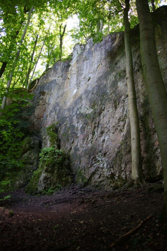 Felsfoto: Schlosszwergwand und 690 weitere Felsen im Klettergebiet Fränkische Schweiz (Frankenjura) ➤ Routen mit Schwierigkeitsgraden f&uuml;r den Fels Schlosszwergwand ➤ Klettertopo & Kletterf&uuml;hrer ➤ 19.05.2026
