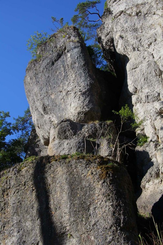 Felsfoto: Richard Wagner Fels und 690 weitere Felsen im Klettergebiet Fränkische Schweiz (Frankenjura) ➤ Routen mit Schwierigkeitsgraden f&uuml;r den Fels Richard Wagner Fels ➤ Klettertopo & Kletterf&uuml;hrer ➤ 19.05.2026