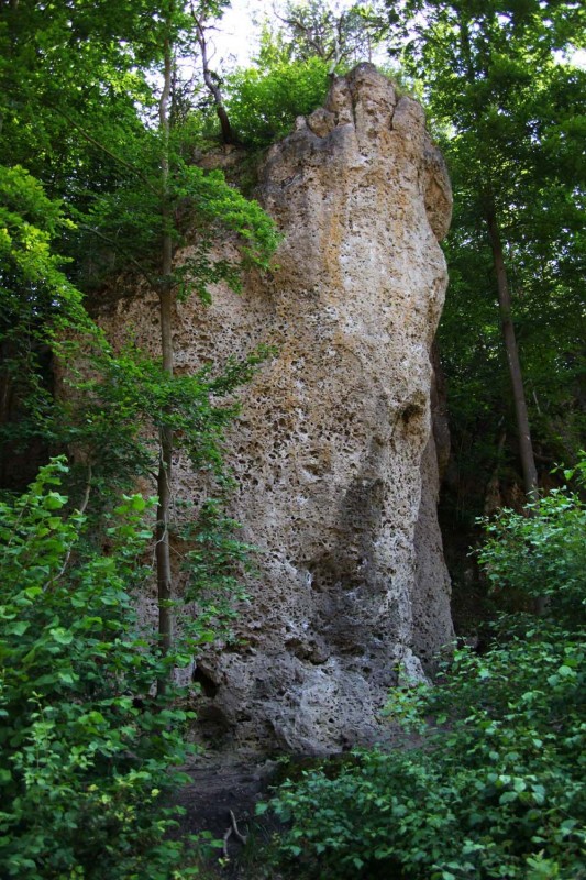 Felsfoto: Stadelhofener Wände (hintere) und 692 weitere Felsen im Klettergebiet Fränkische Schweiz (Frankenjura) ➤ Routen mit Schwierigkeitsgraden f&uuml;r den Fels Stadelhofener Wände (hintere) ➤ Klettertopo & Kletterf&uuml;hrer ➤ 30.08.2026