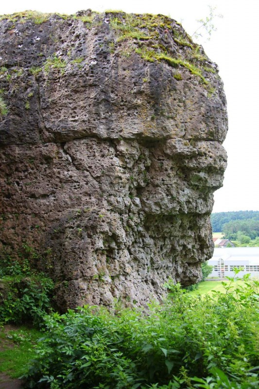 Felsfoto: Steinfelder Wändchen (Samestase) und 690 weitere Felsen im Klettergebiet Fränkische Schweiz (Frankenjura) ➤ Routen mit Schwierigkeitsgraden f&uuml;r den Fels Steinfelder Wändchen (Samestase) ➤ Klettertopo & Kletterf&uuml;hrer ➤ 19.05.2026