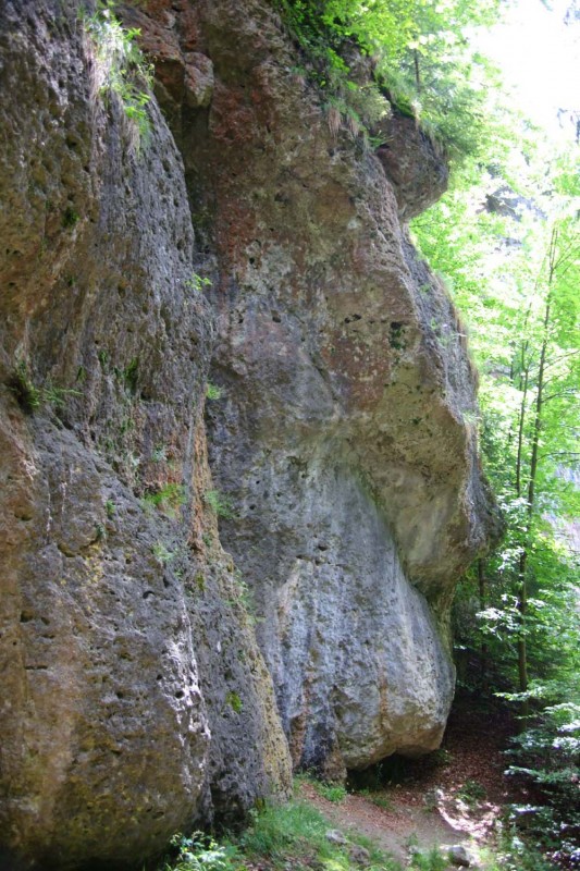 Felsfoto: Altbadawand und 690 weitere Felsen im Klettergebiet Fränkische Schweiz (Frankenjura) ➤ Routen mit Schwierigkeitsgraden f&uuml;r den Fels Altbadawand ➤ Klettertopo & Kletterf&uuml;hrer ➤ 19.05.2026