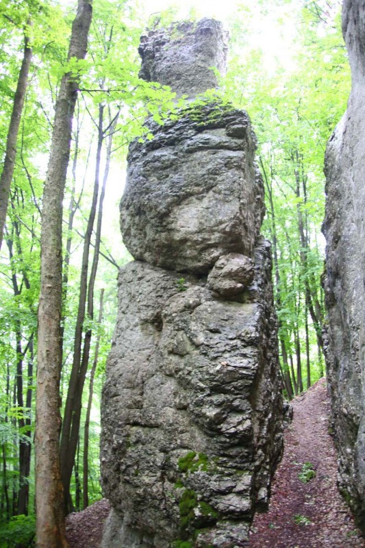 Felsfoto: Bamberger Turm und 690 weitere Felsen im Klettergebiet Fränkische Schweiz (Frankenjura) ➤ Routen mit Schwierigkeitsgraden f&uuml;r den Fels Bamberger Turm ➤ Klettertopo & Kletterf&uuml;hrer ➤ 19.05.2026