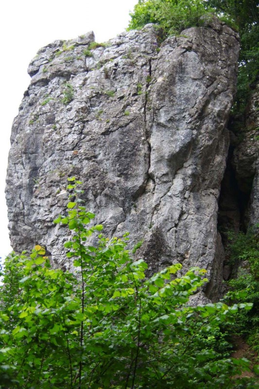 Felsfoto: Bayreuther Wand und 690 weitere Felsen im Klettergebiet Fränkische Schweiz (Frankenjura) ➤ Routen mit Schwierigkeitsgraden f&uuml;r den Fels Bayreuther Wand ➤ Klettertopo & Kletterf&uuml;hrer ➤ 19.05.2026