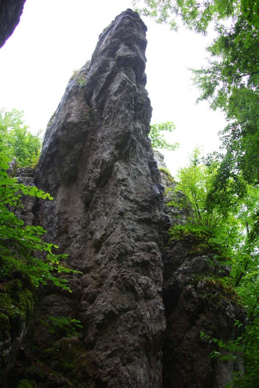Felsfoto: Fermeda und 690 weitere Felsen im Klettergebiet Fränkische Schweiz (Frankenjura) ➤ Routen mit Schwierigkeitsgraden f&uuml;r den Fels Fermeda ➤ Klettertopo & Kletterf&uuml;hrer ➤ 19.05.2026