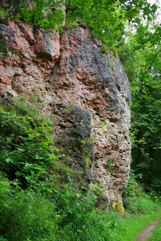 Felsfoto: Freiheitsfels und 690 weitere Felsen im Klettergebiet Fränkische Schweiz (Frankenjura) ➤ Routen mit Schwierigkeitsgraden f&uuml;r den Fels Freiheitsfels ➤ Klettertopo & Kletterf&uuml;hrer ➤ 19.05.2026
