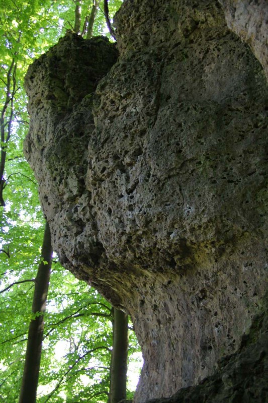 Felsfoto: Betzensteiner Sportkletterwand und 692 weitere Felsen im Klettergebiet Fränkische Schweiz (Frankenjura) ➤ Routen mit Schwierigkeitsgraden f&uuml;r den Fels Betzensteiner Sportkletterwand ➤ Klettertopo & Kletterf&uuml;hrer ➤ 31.08.2026