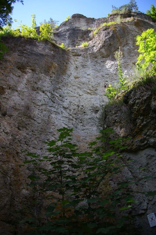 Felsfoto: Geckofels und 690 weitere Felsen im Klettergebiet Fränkische Schweiz (Frankenjura) ➤ Routen mit Schwierigkeitsgraden f&uuml;r den Fels Geckofels ➤ Klettertopo & Kletterf&uuml;hrer ➤ 19.05.2026