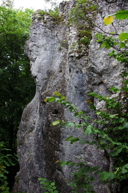 Felsfoto: Gewitterriss und 690 weitere Felsen im Klettergebiet Fränkische Schweiz (Frankenjura) ➤ Routen mit Schwierigkeitsgraden f&uuml;r den Fels Gewitterriss ➤ Klettertopo & Kletterf&uuml;hrer ➤ 19.05.2026