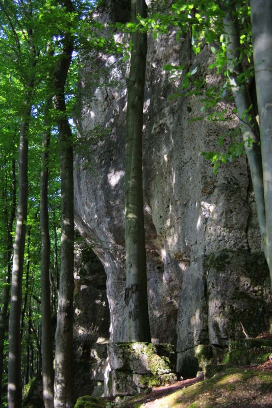 Felsfoto: Große Wacht und 690 weitere Felsen im Klettergebiet Fränkische Schweiz (Frankenjura) ➤ Routen mit Schwierigkeitsgraden f&uuml;r den Fels Große Wacht ➤ Klettertopo & Kletterf&uuml;hrer ➤ 19.05.2026