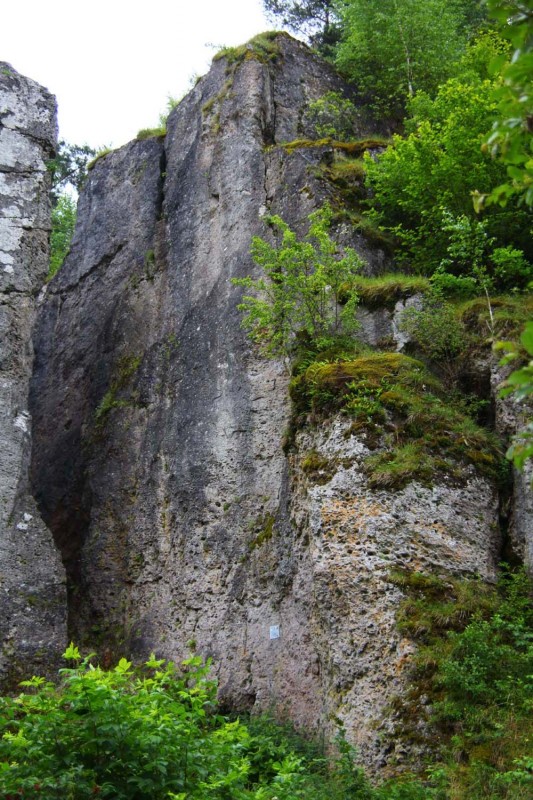 Felsfoto: Jurawand und 690 weitere Felsen im Klettergebiet Fränkische Schweiz (Frankenjura) ➤ Routen mit Schwierigkeitsgraden f&uuml;r den Fels Jurawand ➤ Klettertopo & Kletterf&uuml;hrer ➤ 19.05.2026