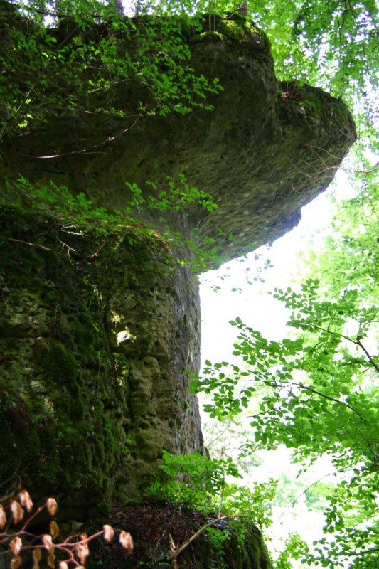 Felsfoto: Lichtenfelser Dach und 690 weitere Felsen im Klettergebiet Fränkische Schweiz (Frankenjura) ➤ Routen mit Schwierigkeitsgraden f&uuml;r den Fels Lichtenfelser Dach ➤ Klettertopo & Kletterf&uuml;hrer ➤ 19.05.2026