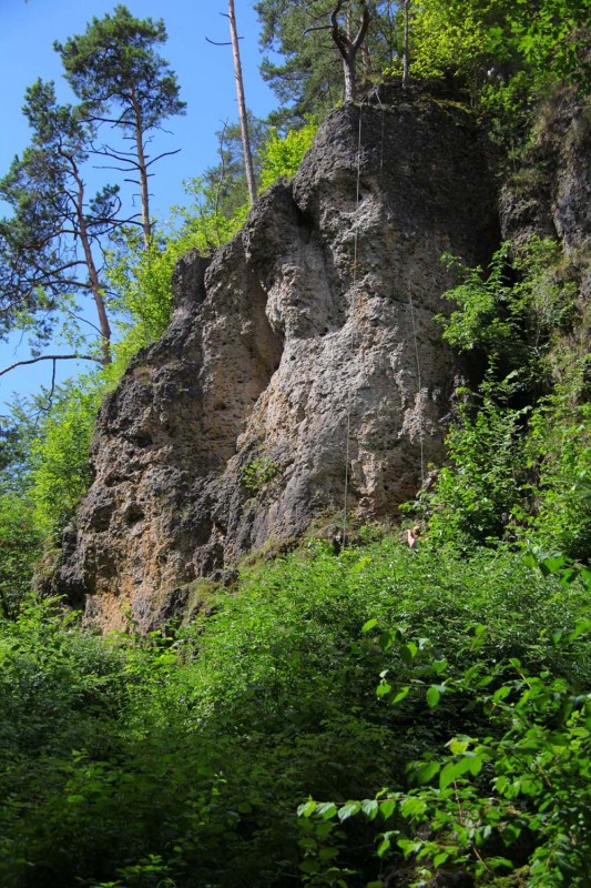Felsfoto: Plecher Wand & Turm und 690 weitere Felsen im Klettergebiet Fränkische Schweiz (Frankenjura) ➤ Routen mit Schwierigkeitsgraden f&uuml;r den Fels Plecher Wand & Turm ➤ Klettertopo & Kletterf&uuml;hrer ➤ 19.05.2026