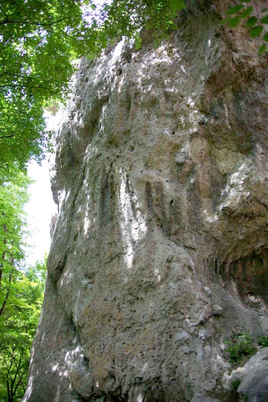 Felsfoto: Rolandfels und 690 weitere Felsen im Klettergebiet Fränkische Schweiz (Frankenjura) ➤ Routen mit Schwierigkeitsgraden f&uuml;r den Fels Rolandfels ➤ Klettertopo & Kletterf&uuml;hrer ➤ 19.05.2026