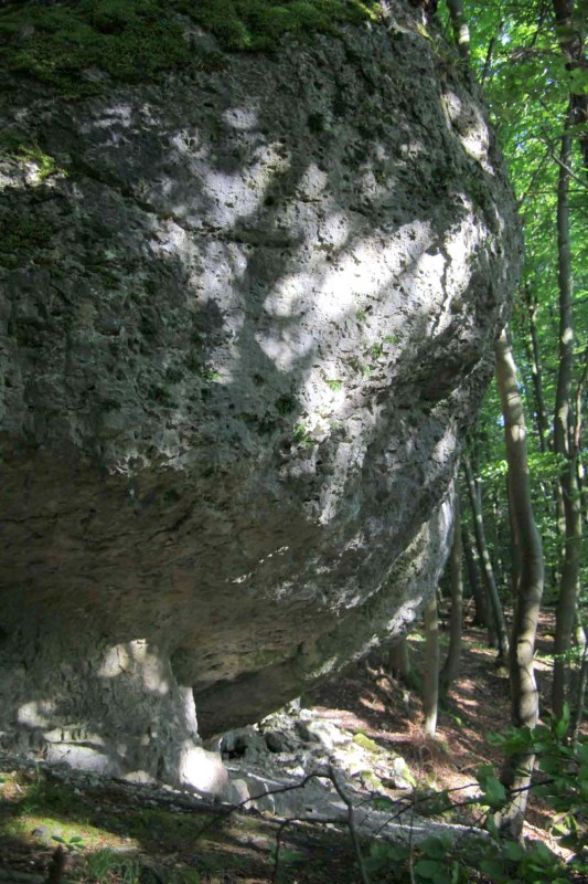 Felsfoto: Schmerzzentrum und 690 weitere Felsen im Klettergebiet Fränkische Schweiz (Frankenjura) ➤ Routen mit Schwierigkeitsgraden f&uuml;r den Fels Schmerzzentrum ➤ Klettertopo & Kletterf&uuml;hrer ➤ 19.05.2026