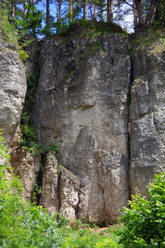 Felsfoto: Treunitzer Klettergarten und 690 weitere Felsen im Klettergebiet Fränkische Schweiz (Frankenjura) ➤ Routen mit Schwierigkeitsgraden f&uuml;r den Fels Treunitzer Klettergarten ➤ Klettertopo & Kletterf&uuml;hrer ➤ 19.05.2026