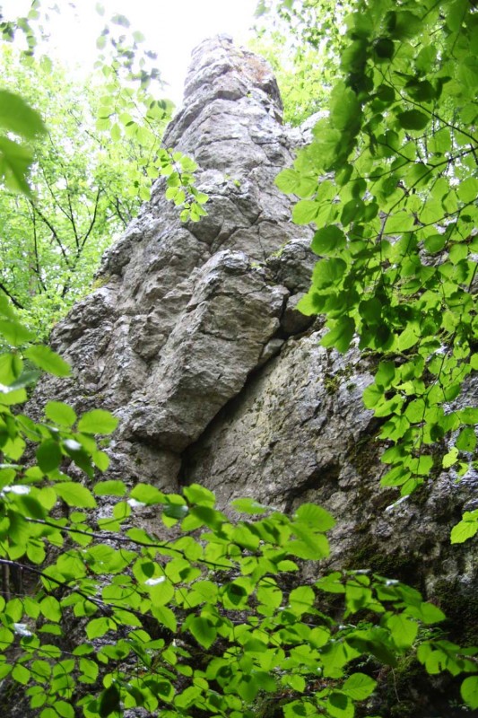 Felsfoto: Würgauer Nadel und 690 weitere Felsen im Klettergebiet Fränkische Schweiz (Frankenjura) ➤ Routen mit Schwierigkeitsgraden f&uuml;r den Fels Würgauer Nadel ➤ Klettertopo & Kletterf&uuml;hrer ➤ 19.05.2026