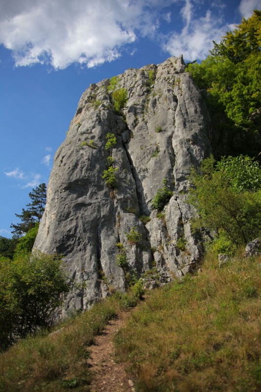 Felsfoto: Prunner Turm und 41 weitere Felsen im Klettergebiet Altmühltal (Südliches Frankenjura) ➤ Routen mit Schwierigkeitsgraden f&uuml;r den Fels Prunner Turm ➤ Klettertopo & Kletterf&uuml;hrer ➤ 16.07.2026
